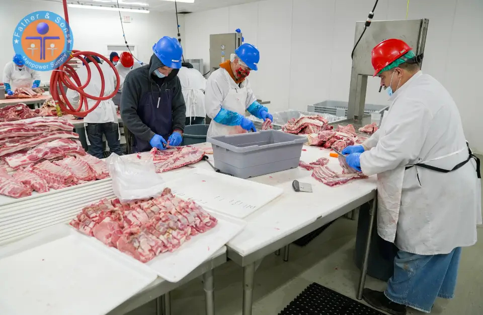 Butchers processing-slicing meat in hygienic manner, wearing masks, caps and long coats.